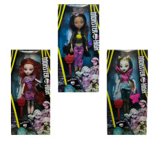 15-2 Лялька з аксесуарами у коробці Monster High