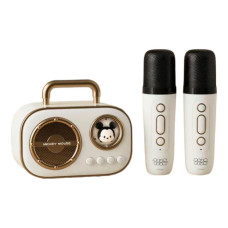 013 DZ  Колонка і  мікрофон bluetooth, в коробці.