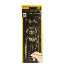 Гравюра А-4 Danko Toys